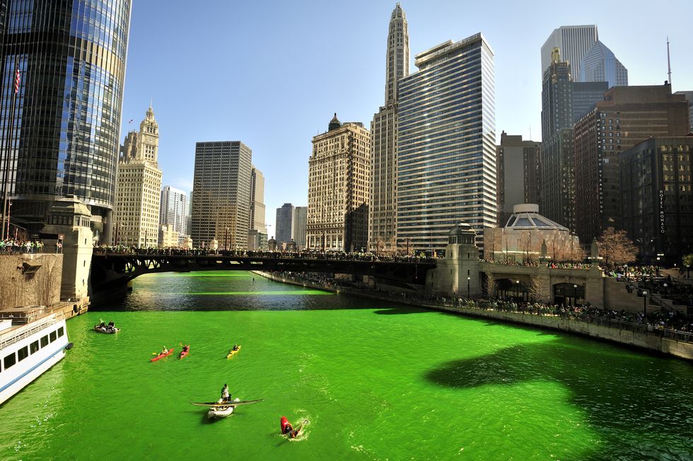 kayakers paddling on the green chicago river for saint patrick's day