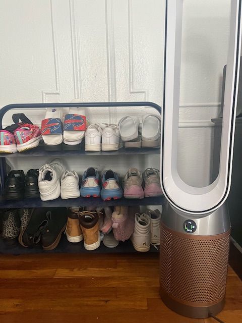 Dyson air purifier smoke smell online