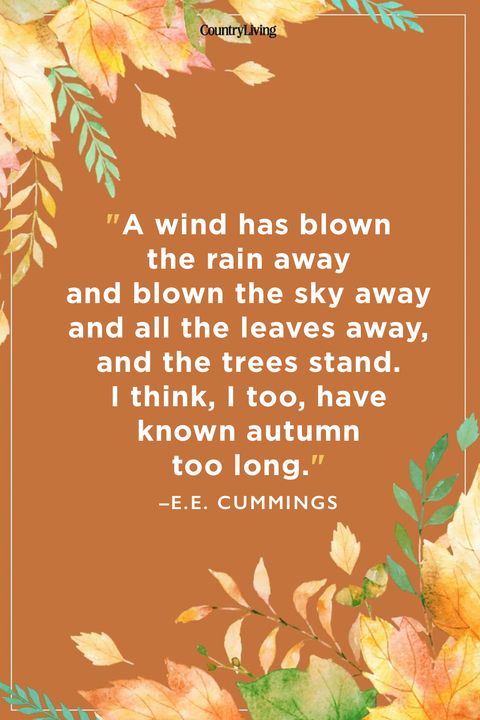 Fall Quotes EE Cummings