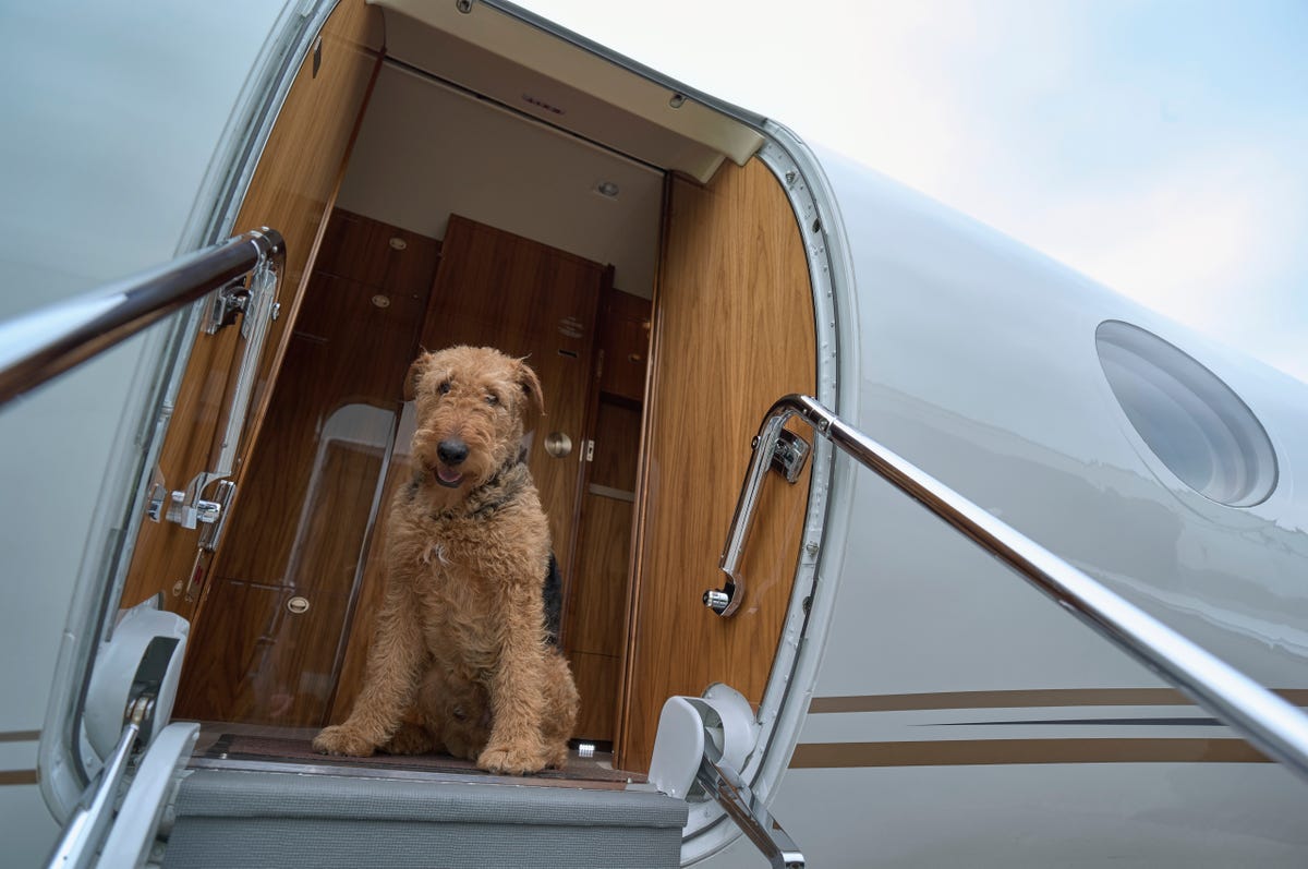 What to Know Before You Book
