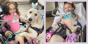 2020年6月、フロリダ州ウェリントン付近で交通事故に遭ったメンフィス・ローズ・アマンちゃん（8歳）。懸命な救助のおかげで一命を取りとめた彼女は、その後生活する上で介助犬を迎え入れることに。少女とワンちゃんが紡ぐ深い絆とは―――。