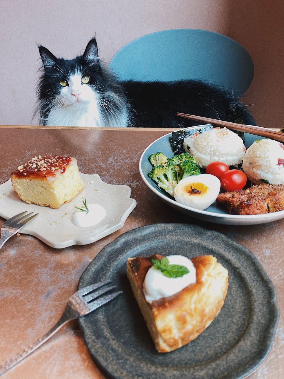 宜蘭貓咪咖啡廳貓的生活提案