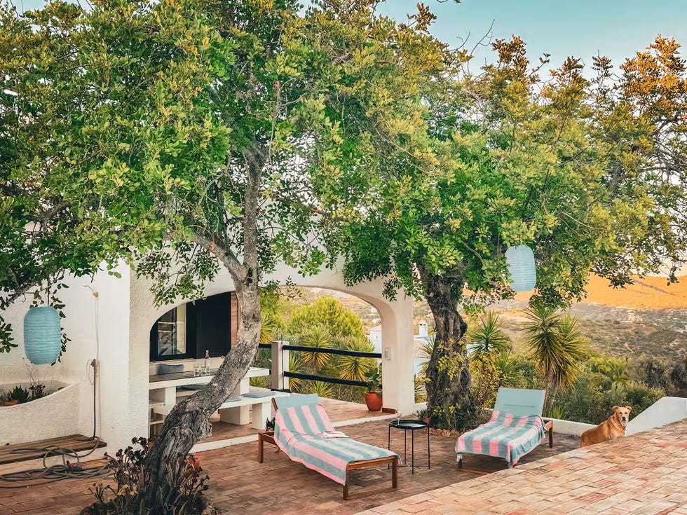 outdoor space featuring lounge chairs trees and a serene view