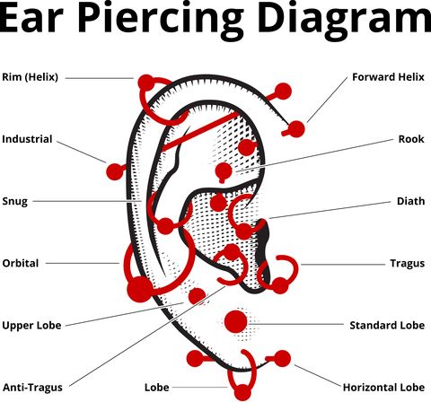 ear piercing style diagram