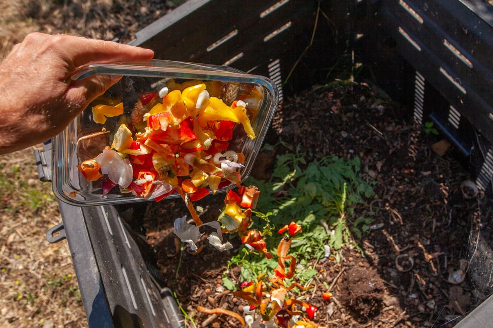 a hand dropping brightly colored kitchen scraps from a plastic container into a compost bin