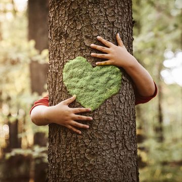 child behind tree with heart shape on it hugging it