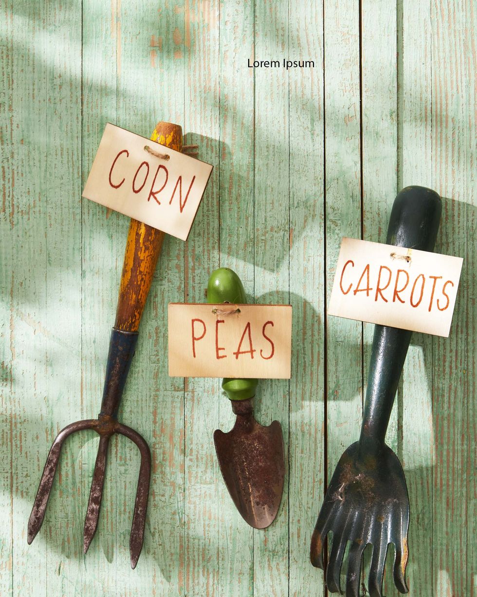 vintage gardening tools turned into garden markers with wood tags attached to the handles