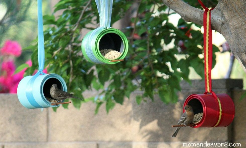 colorful bird feeders hanging from ribbons