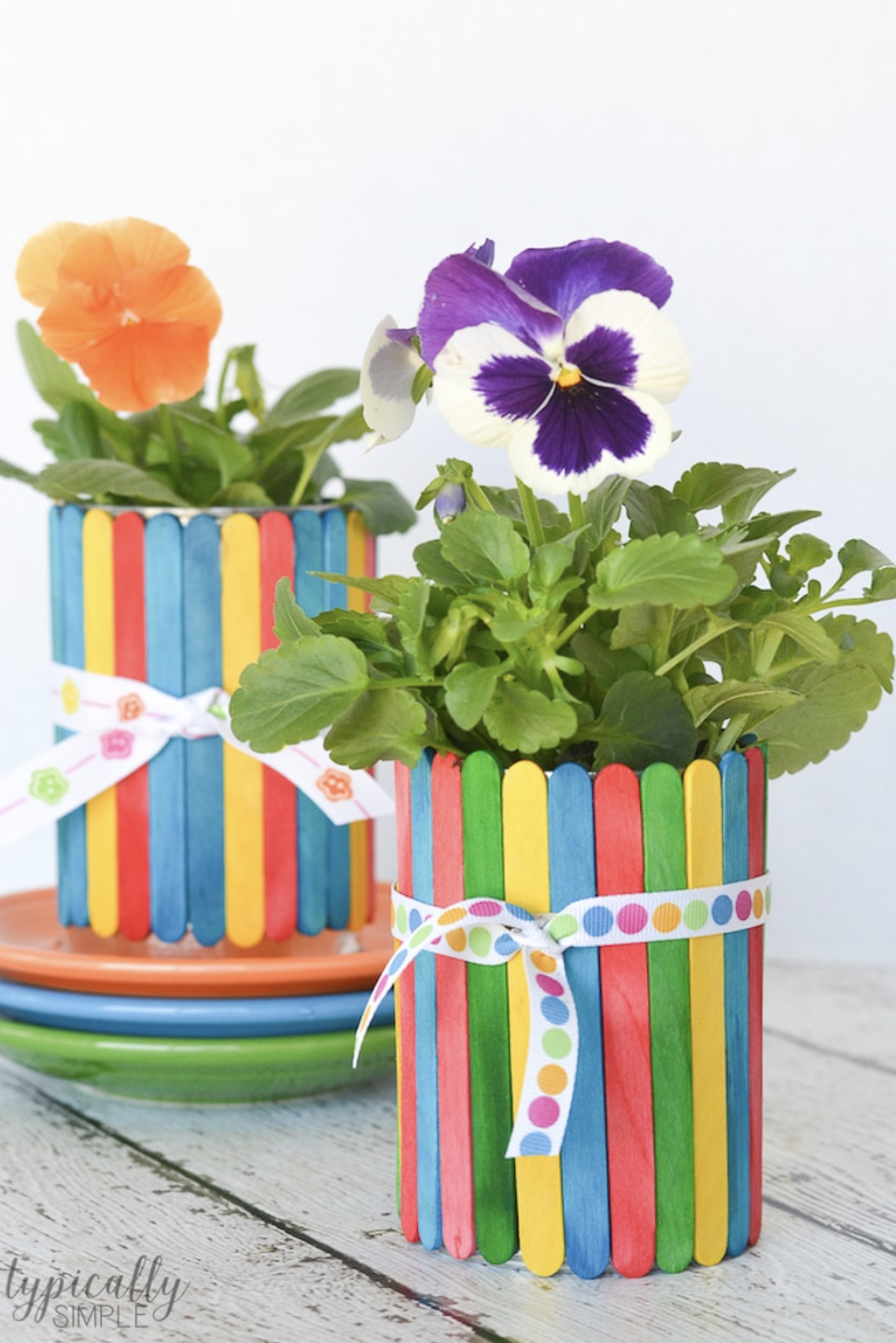 Earth Day Craft, Craft Stick Flower Pot with Flowers Inside