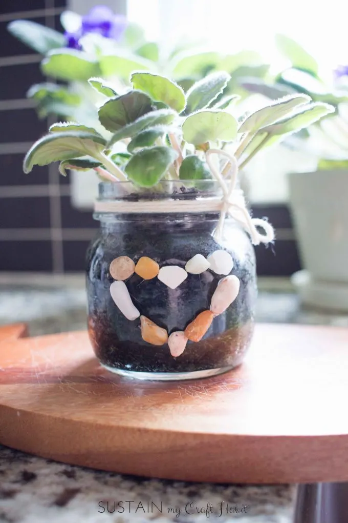 african violet in small mason jar with rocks in a heart shape glued on it