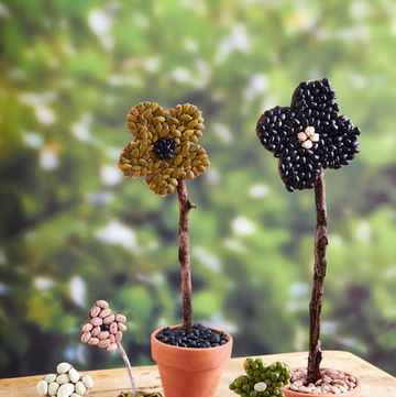 flowers made from cardboard and seeds in small terra cotta pots set on a table outside