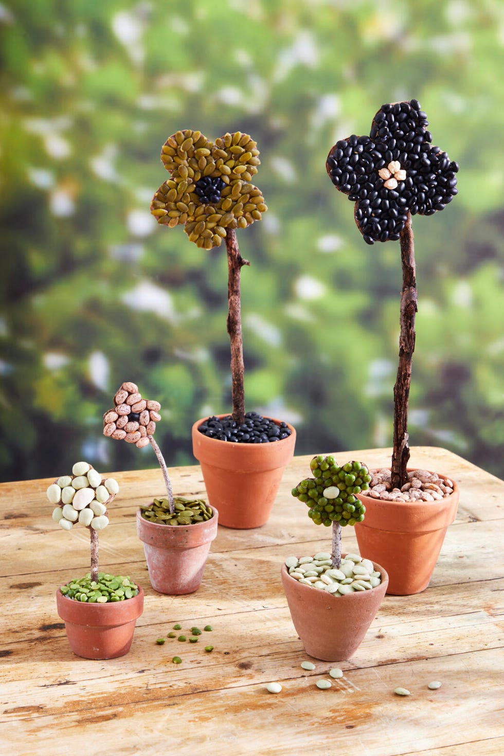 Cardboard flowers and seeds in small terracotta pots on an outdoor table