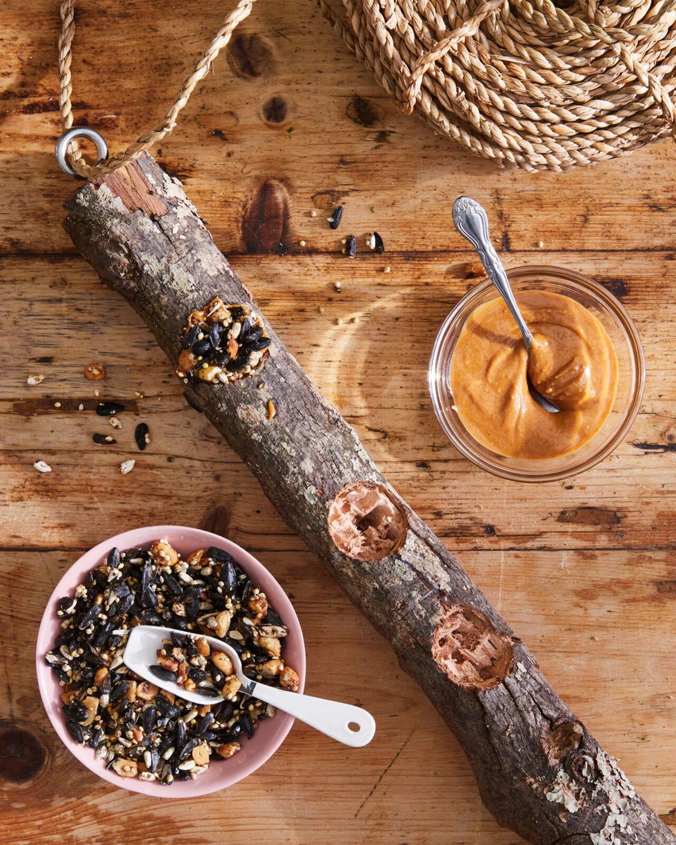 small log with drilled holes turned into a bird feeder with peanut butter and bird seed