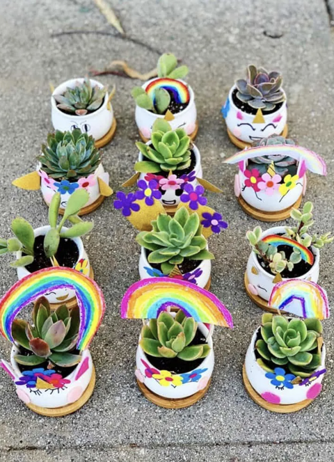 earth day crafts, unicorn designed planters on the ground with succulents inside