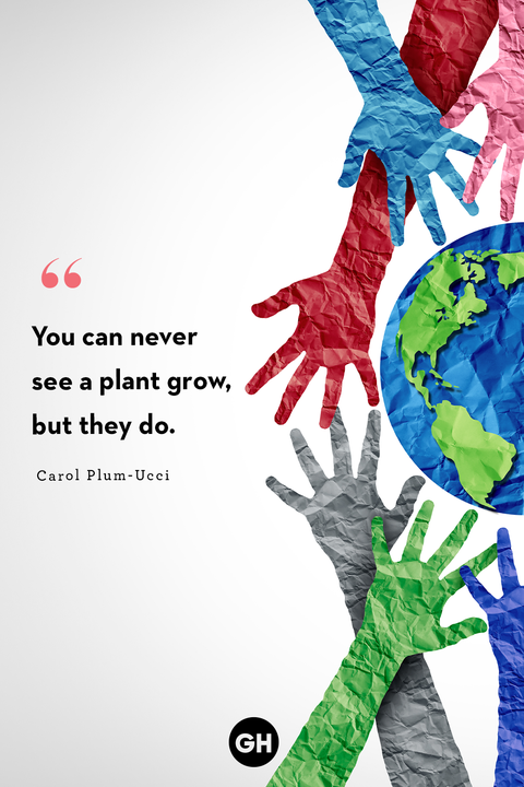 You may never see the plant growing but they do by Carol Plum Uchi