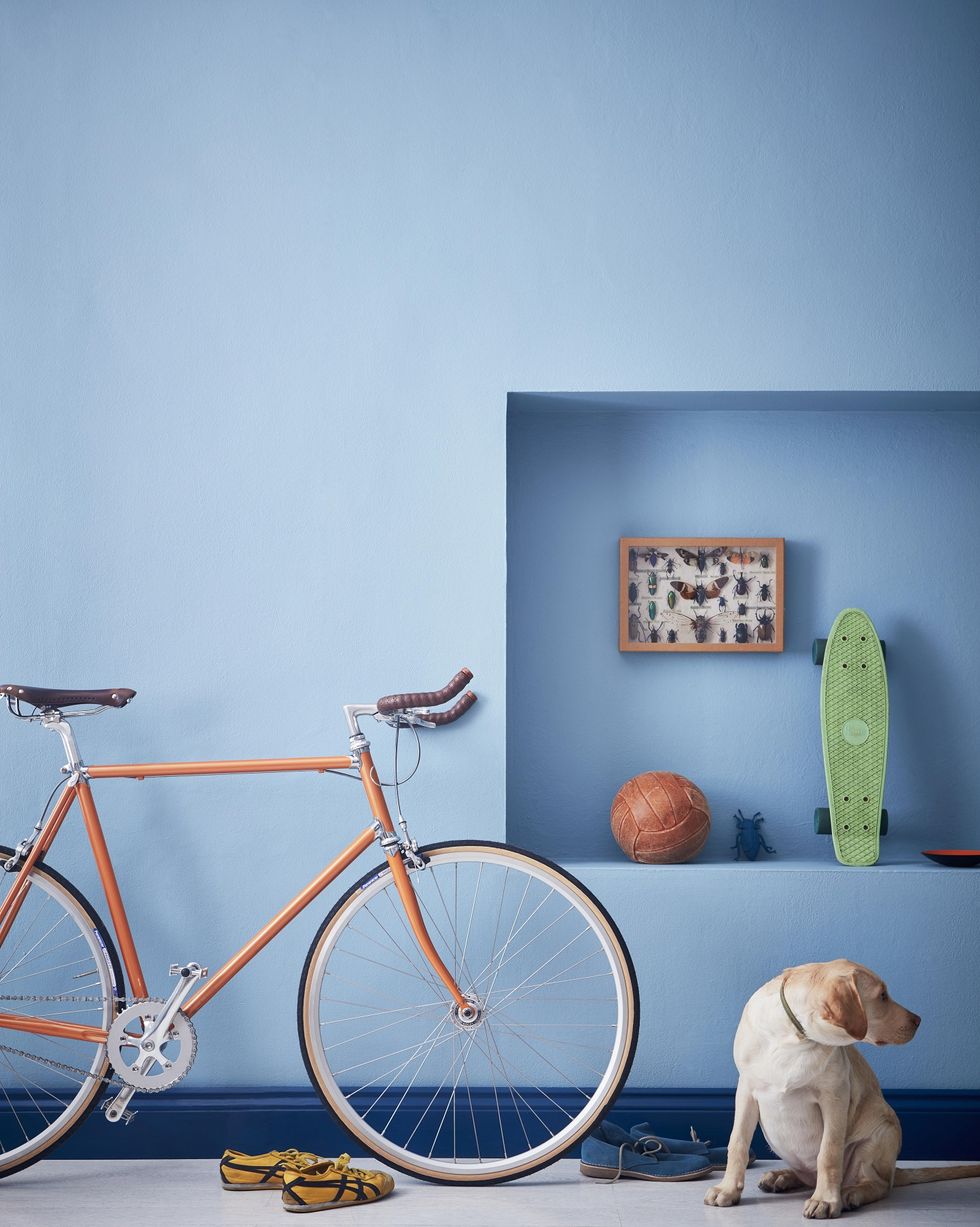 earthborn polka dot, £499, blue paint nook shelf bicycle hallway wes anderson style interior