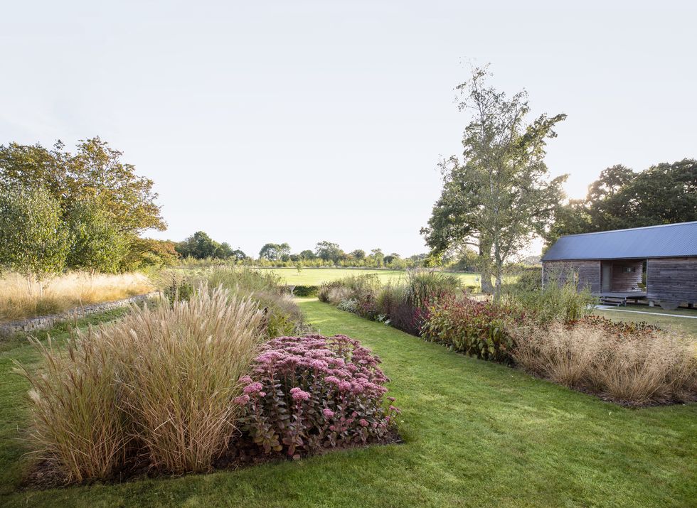 home in east sussex, england design by emma burrill wispy grasses like warrior, karl foerster, and goldtau varieties, mixed with pink autumn stonecrop and other sedum, form playful corridors for wildlife