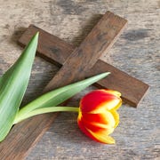 easter bible verses cross tulip spring tulip and cross abstract easter concept on vintage boards