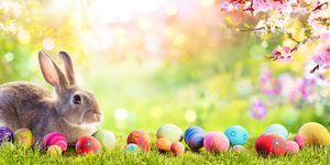 cute brown bunny in meadow with colorful easter eggs