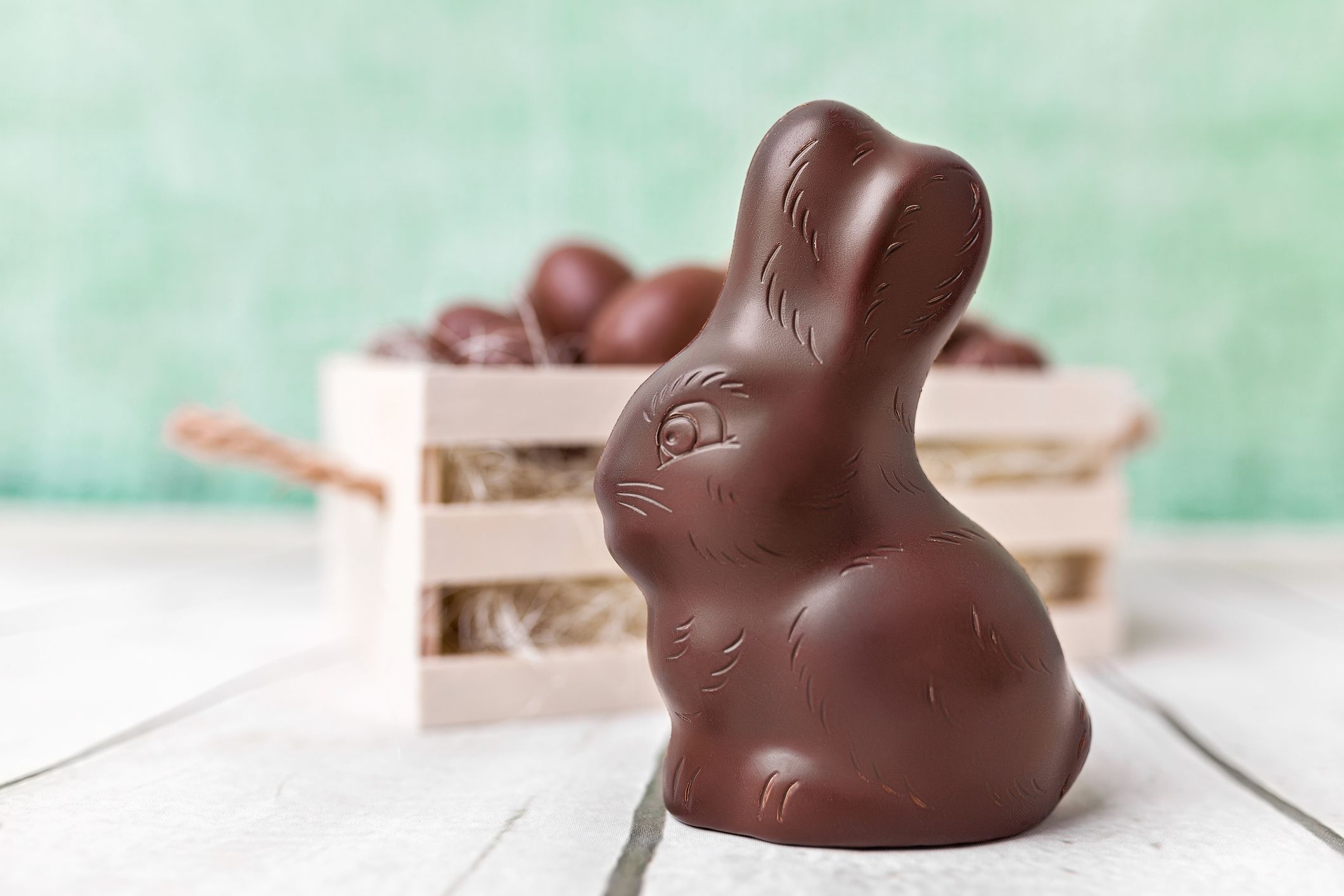 What is easter bunny. Смотреть фото What is easter bunny. Смотреть картинку What is easter bunny. Картинка про What is easter bunny. Фото What is easter bunny