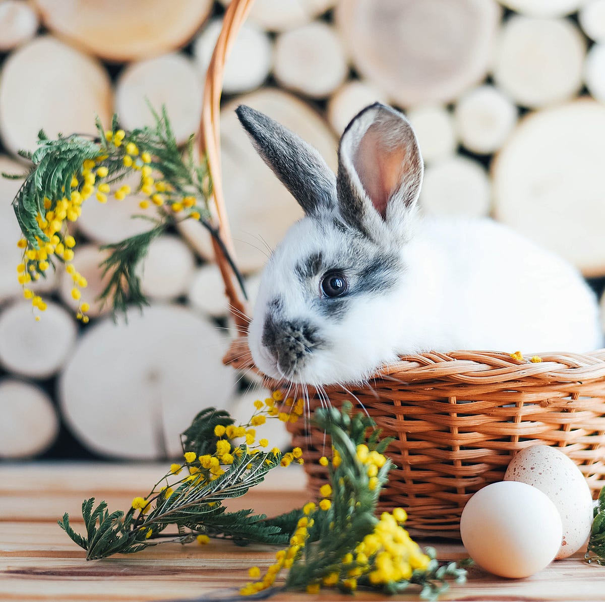 Easter Bunny Origins - The Fascinating History of the Easter Bunny