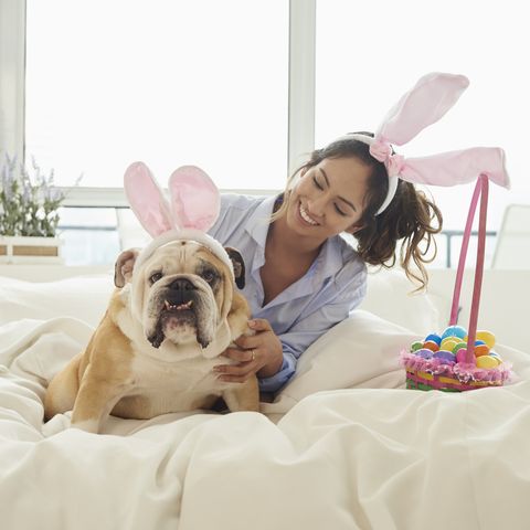 easter captions dog with bunny ears