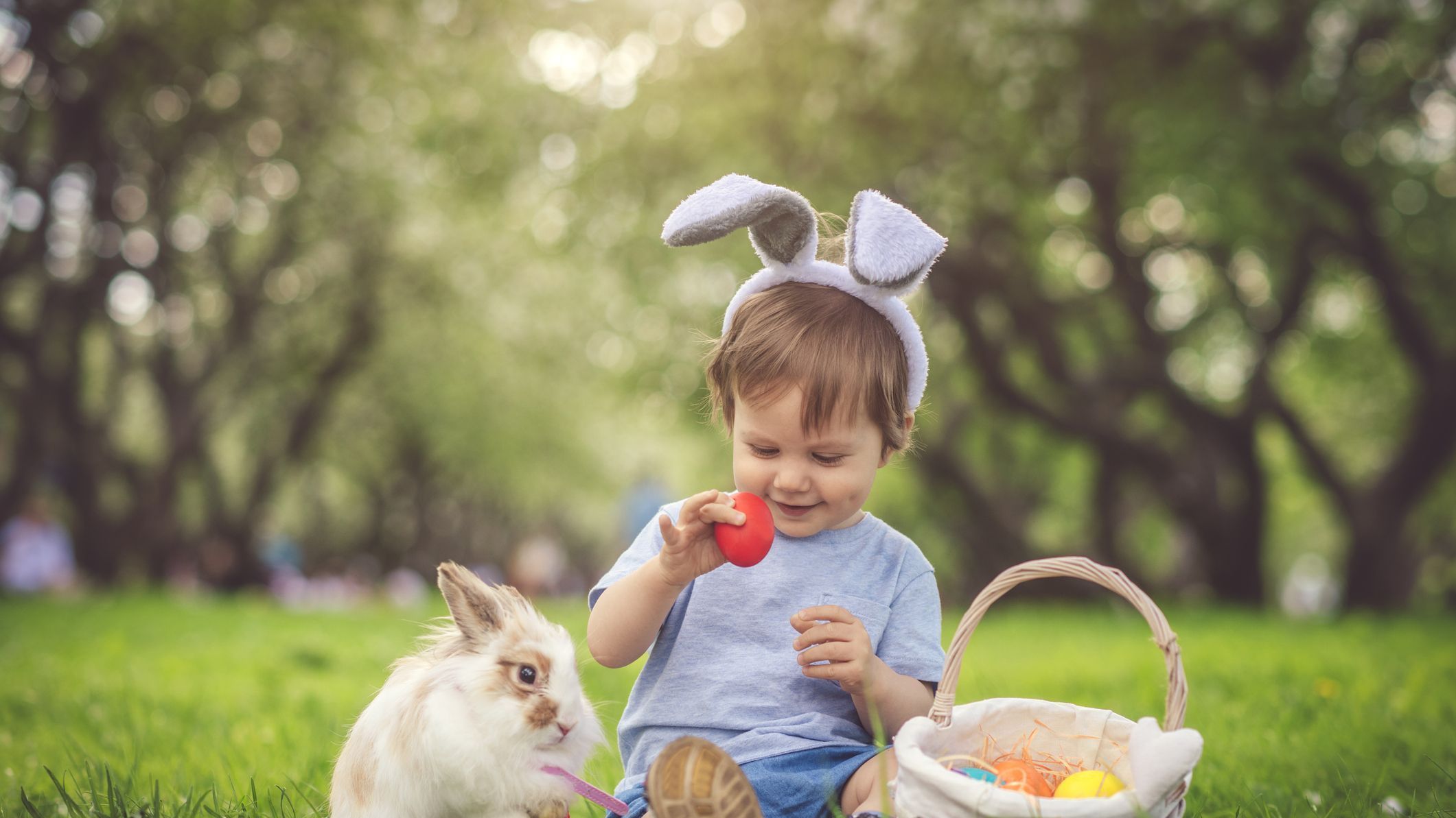 cute baby easter bunny