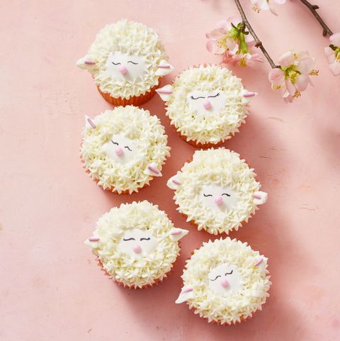 sheep cupcakes on a pink background