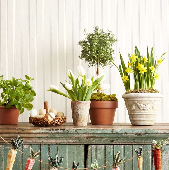 Ways to use Moss in your Spring Decor - Home with Holliday