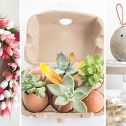 Flowerpot, Easter, Flower, Plant, Easter egg, Houseplant, Succulent plant, 