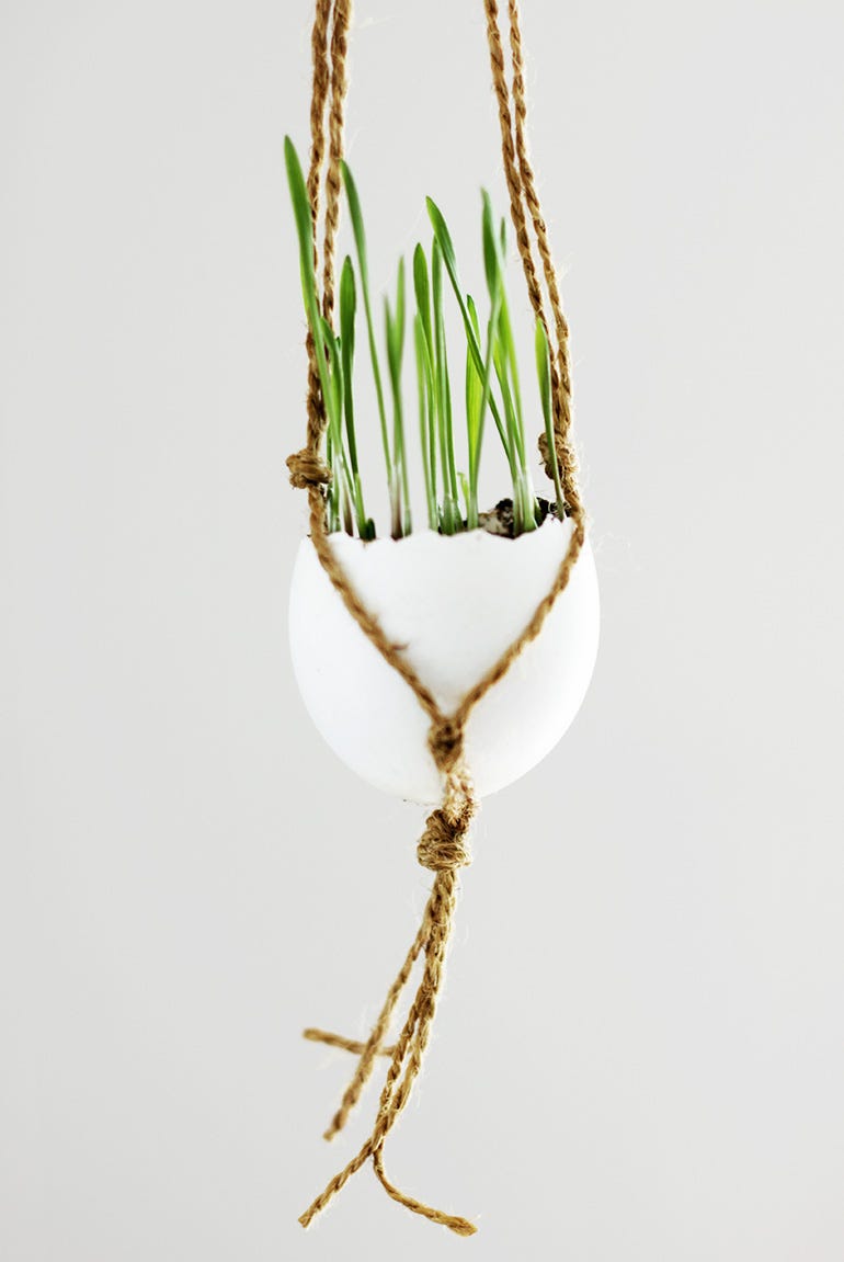 Easter decoration macrame wheat grass eggs