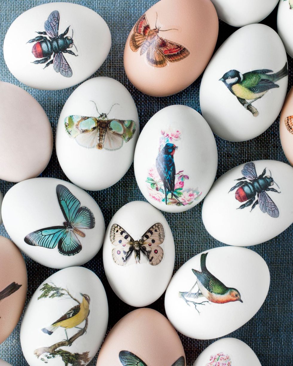 temporary tatoo designs featuring butterflies, moths, birds, insects adhered to easter eggs as decorations
