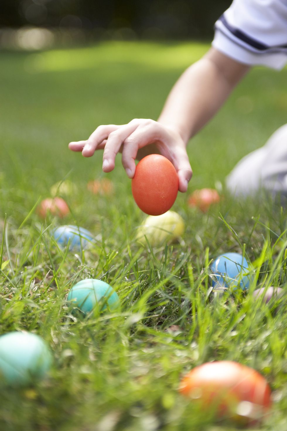 young child picking up orange easter egg among a bevy of colored eggs in grass during color matching easter egg hunt