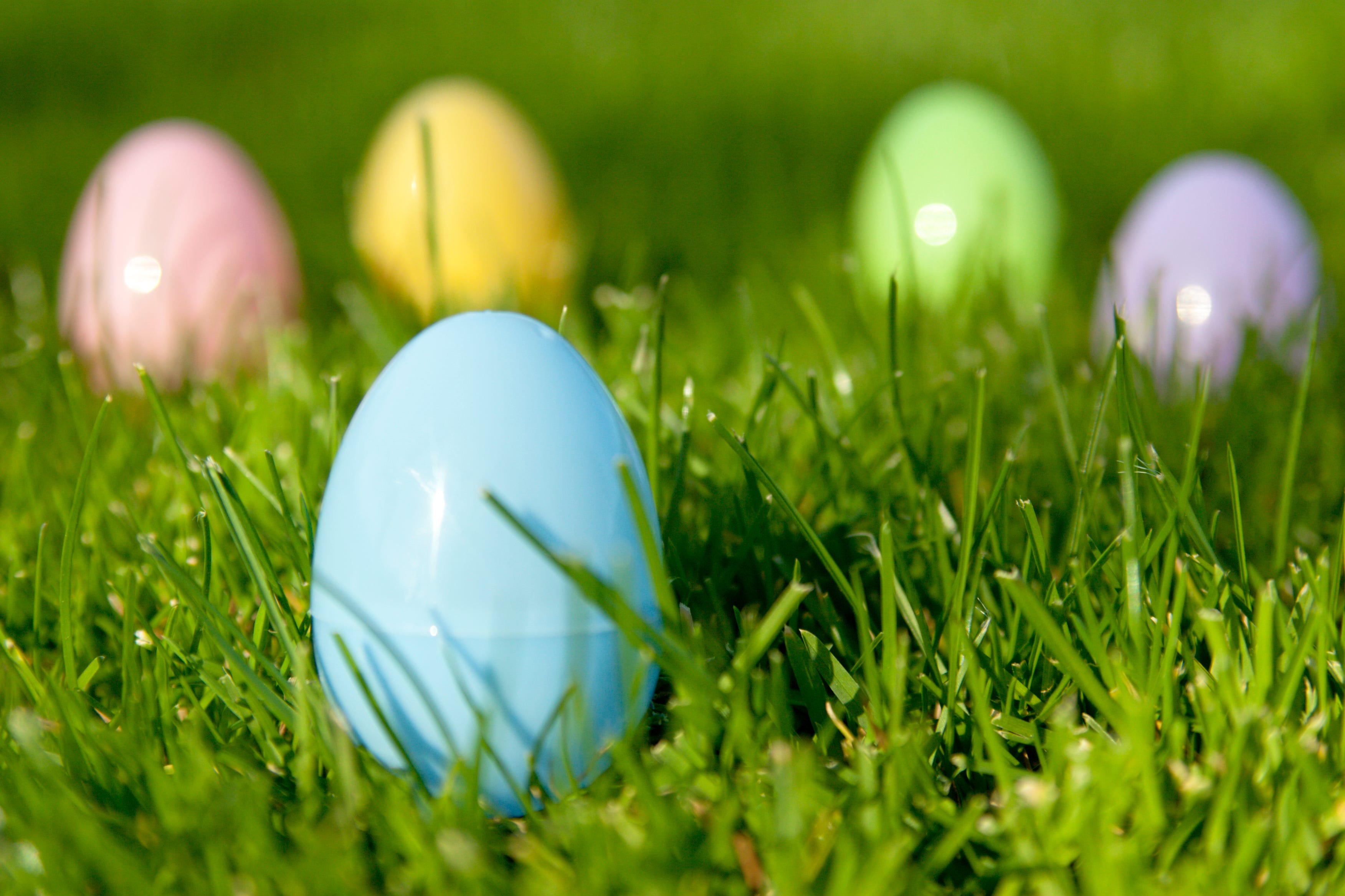 25 Best Adult Easter Egg Hunt Ideas 2024