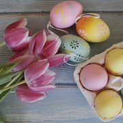 easter eggs in carton with tulips