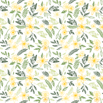 White, Flower, chamomile, Plant, Yellow, camomile, Pattern, mayweed, Flowering plant, Daisy family, White, Flower, chamomile, Plant, Yellow, camomile, Pattern, mayweed, Flowering plant, Daisy family,