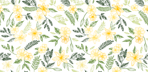 White, Flower, chamomile, Plant, Yellow, camomile, Pattern, mayweed, Flowering plant, Daisy family, 