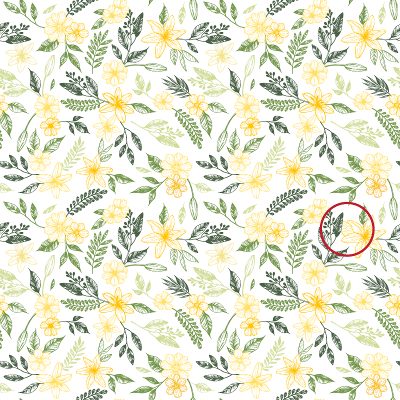White, Flower, Yellow, Plant, Pattern, chamomile, camomile, Daisy family, Wildflower, mayweed, 