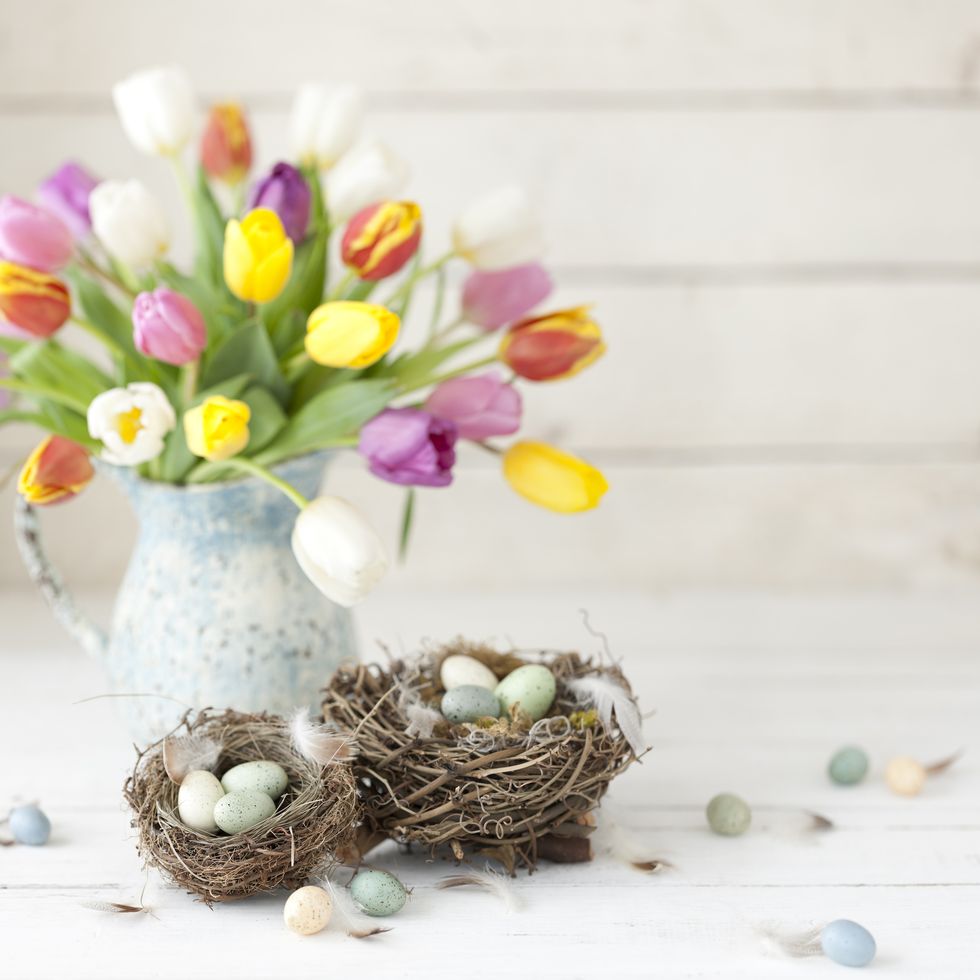 easter quiz answers and questions