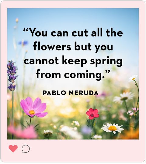 easter instagram captions  you can cut all the flowers, but you cannot keep spring from coming pablo neruda