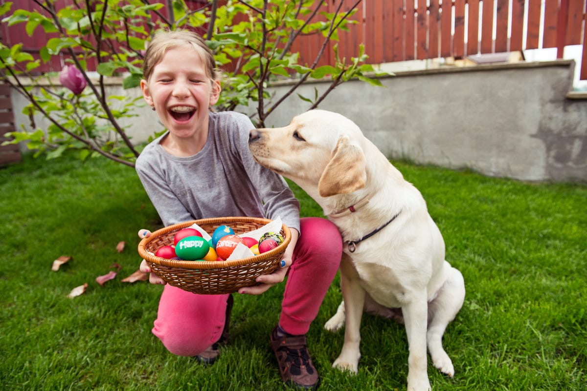 55 Best Easter Jokes 2023