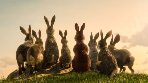 easter movies on netflix, watership down