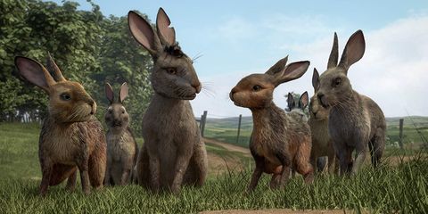 easter movies on netflix watership down