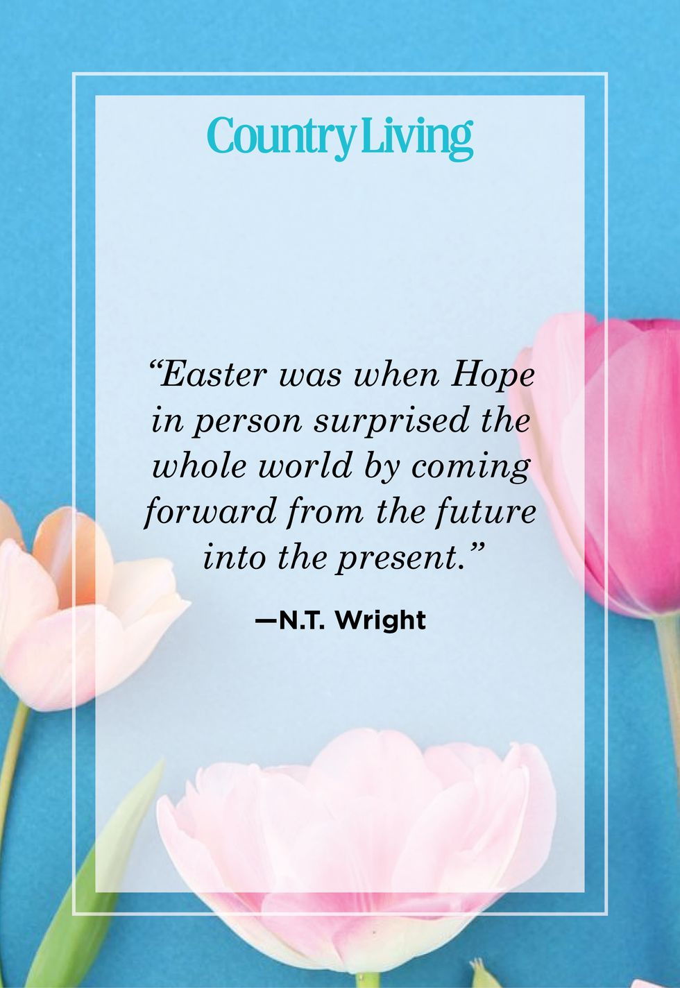 easter quote by n t wright with photo of pink tulips on blue background
