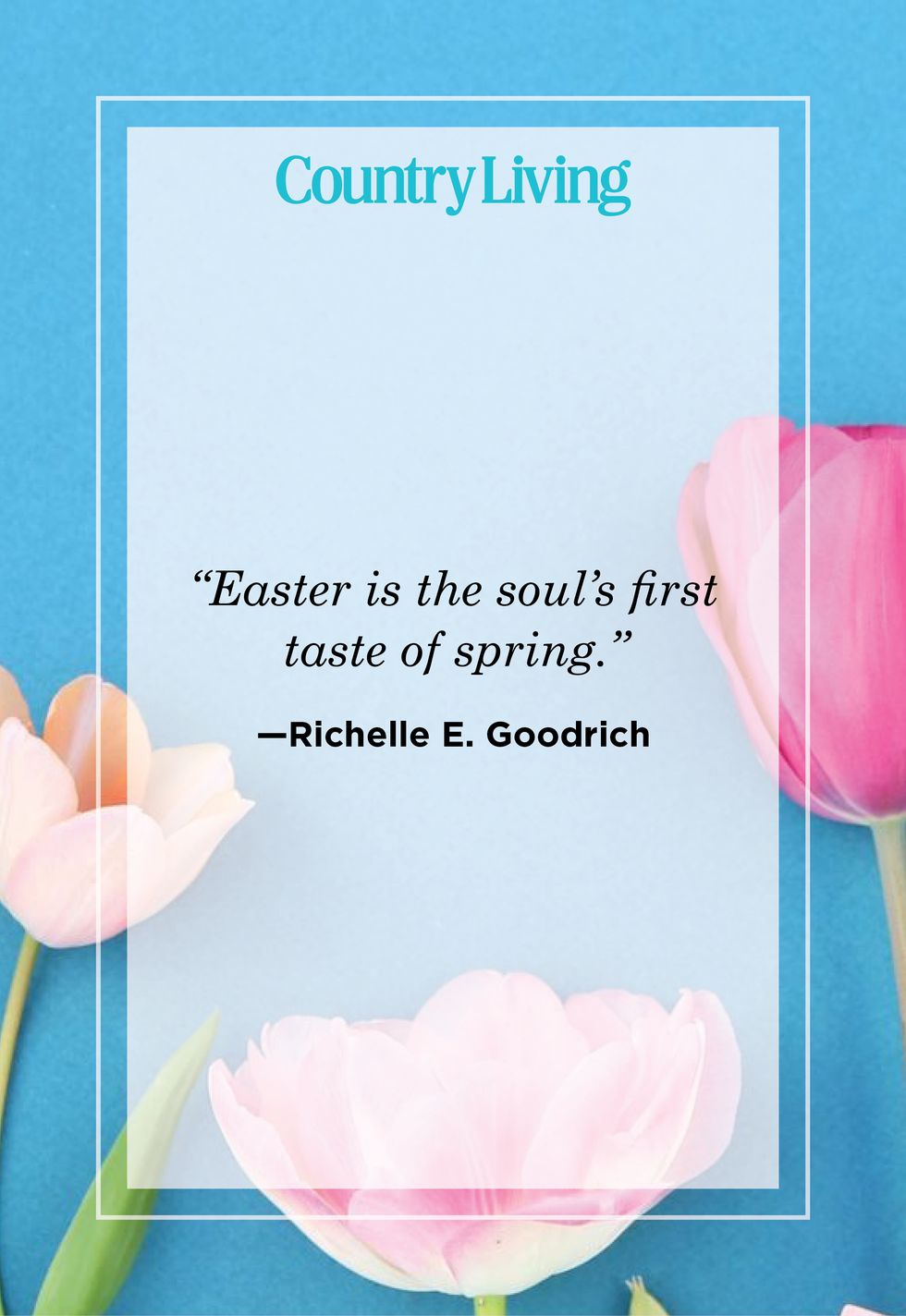 easter quote by richelle e goodrich with photo of pink tulips on blue background