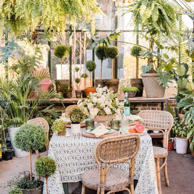 https://hips.hearstapps.com/hmg-prod/images/easter-spring-table-setting-greenhouse-1585190829.jpg?crop=0.668xw:1.00xh;0.167xw,0&resize=640:*