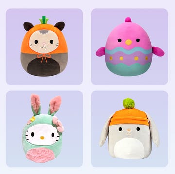 bunny, carrot, easter egg, duck, cat squishmallows