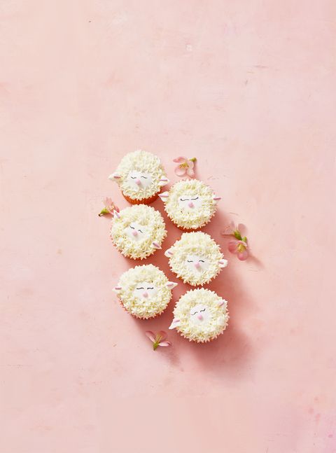 white lamb cupcakes on a pink background