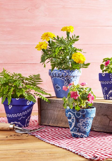 bandana covered pots  planted with ferns and blooming flowers