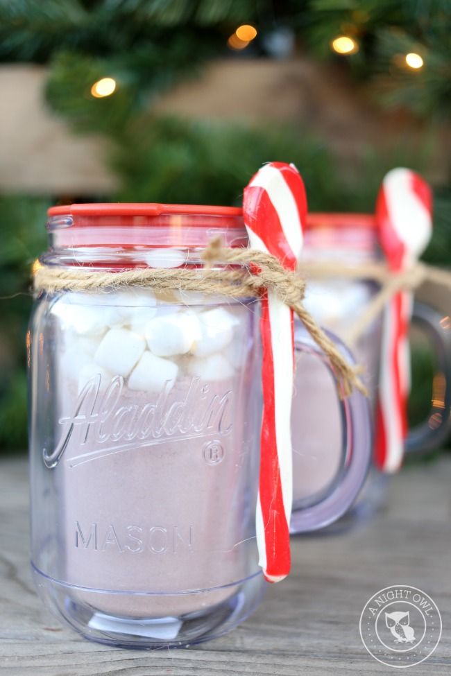 Make a DIY mason jar succulent garden for a gift this holiday — HOMESTEAD  BROOKLYN